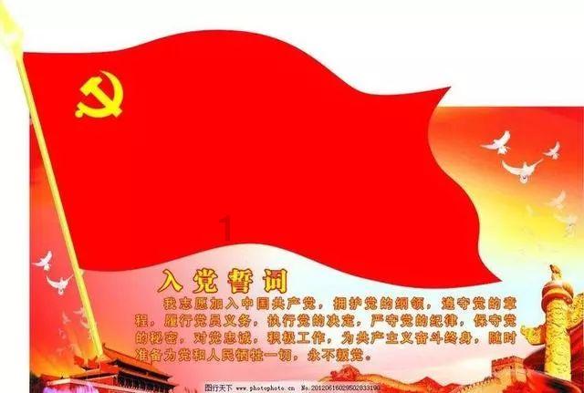 贴砖用什么胶水-专业社区分享平台